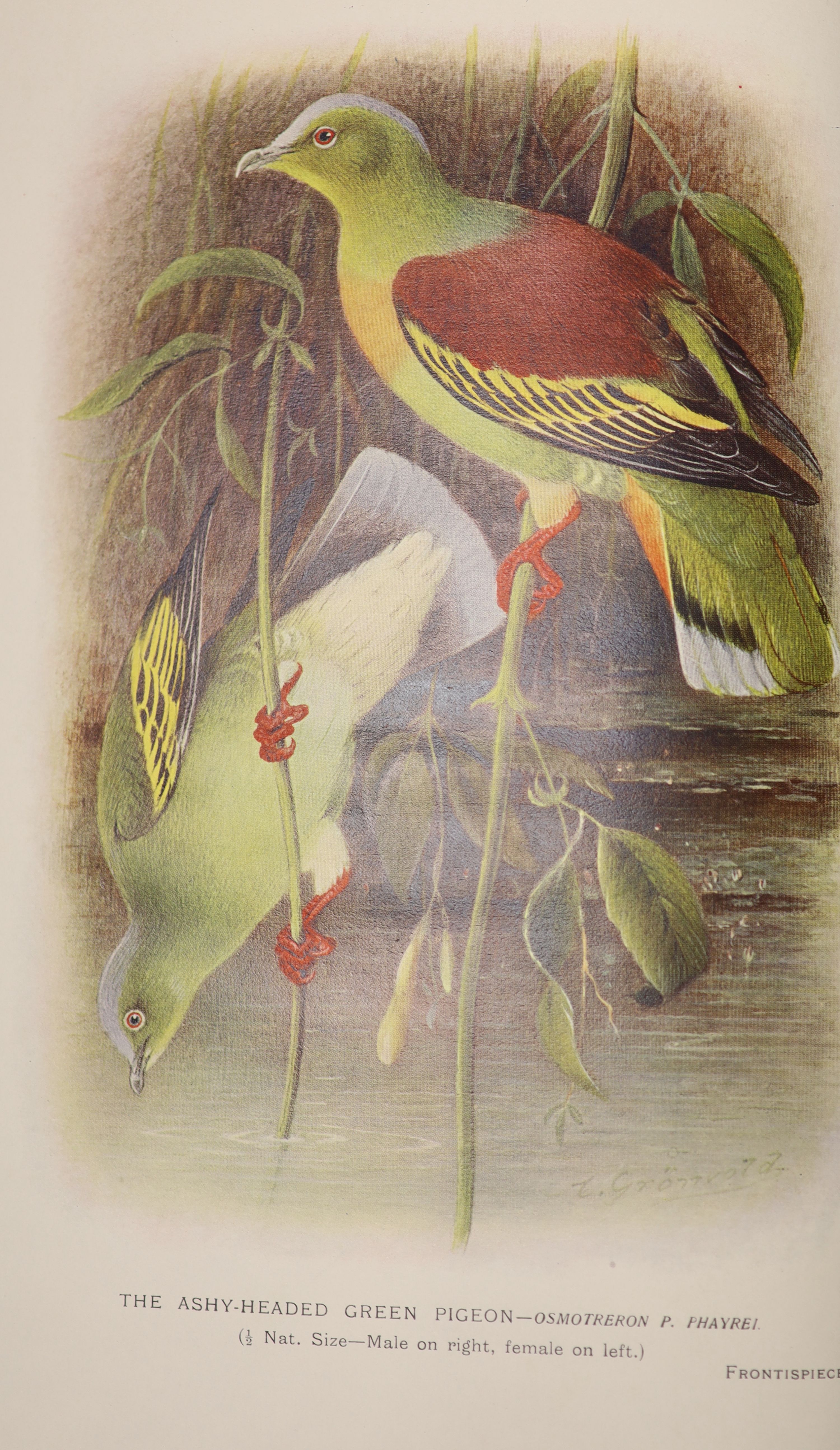Baker, Edward, Charles, Stuart - The game-birds of India, Burma and Ceylon, 3 vols. qto, (vols, 1 & 2 half calf, vol. 3 half cloth), John Bale, Sons and Danielsson, London, 1921-30; and Indian Pigeons and Doves, qto, hal
